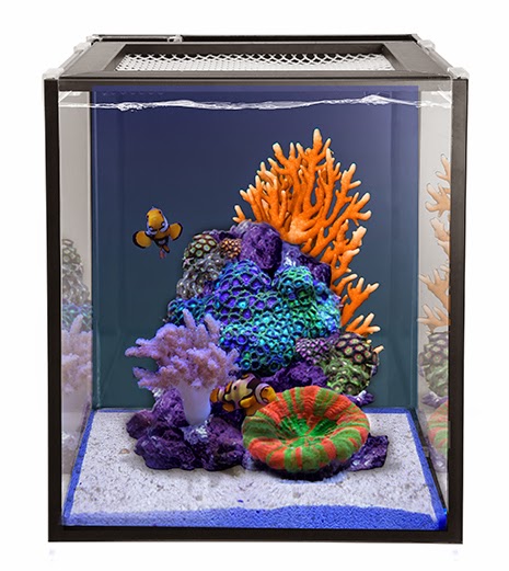 Innovative+Marine+10+Gallon+NUVO+Fusion+Nano+Aquar ium+-+Marine+Depot+Blog+1.jpg